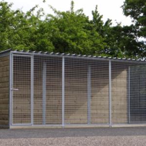 Kattenren Siep - dicht dak - 450x100 cm