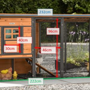 Verschillende afmetingen van het konijnenhok Judy