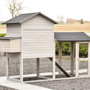 Neem een kijkje aan de achterkant van Prestige large