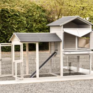 Kippenhok Prestige Large | met vele deuren