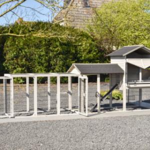 Kippenhok Prestige Large | met vele deuren