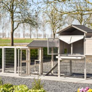 Kippenhok Prestige Large | met vele deuren