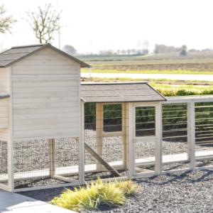 Neem een kijkje aan de achterkant van Prestige large