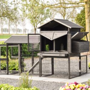 Kippenhok Prestige Large | met vele deuren