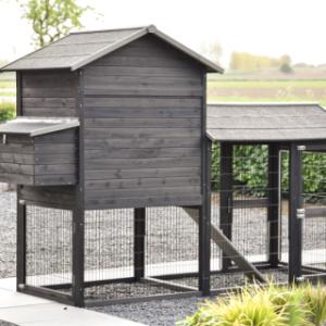 Neem een kijkje aan de achterkant van Prestige large