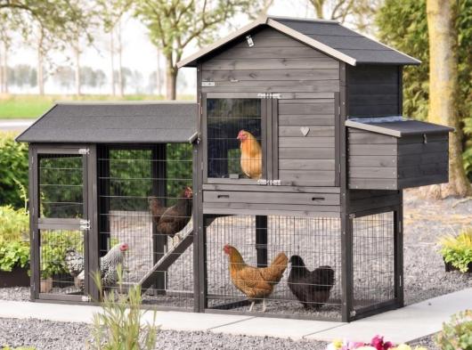 Groot kippenhok Prestige Large met ren en legnest 265x100x181cm