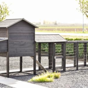 Neem een kijkje aan de achterkant van Prestige large