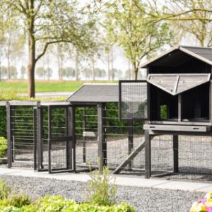 Kippenhok Prestige Large | met vele deuren