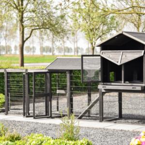 het konijnenhok Prestige Large heeft vele deuren