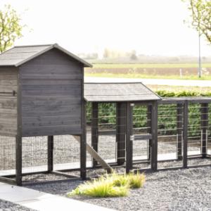 Neem een kijkje aan de achterkant van Prestige large