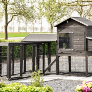 Prestige large met 2 aanbouwrennen en legnest is op verschillende manieren op te stellen