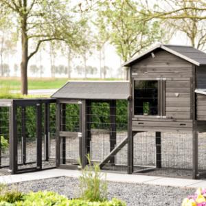 Prestige large met 2 aanbouwrennen en legnest is op verschillende manieren op te stellen