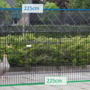 Verschillende afmetingen van de dierenren Louis