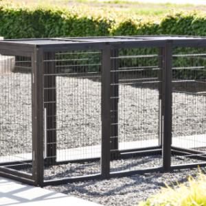 Dierenren Functional Black Anti Knaag