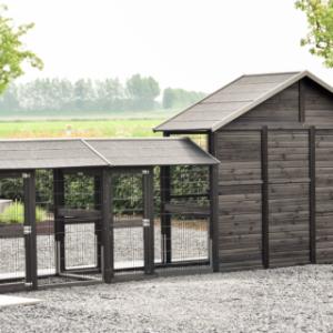 Het kippenhok Holiday Large heeft een volledig houten achterwand