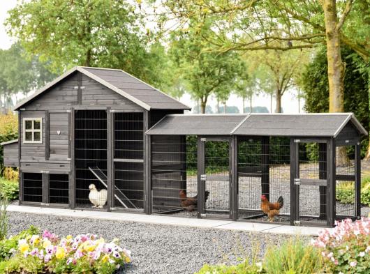 Kippenhok Holiday Large Black met 2 rennen en legnest 515x100x195cm