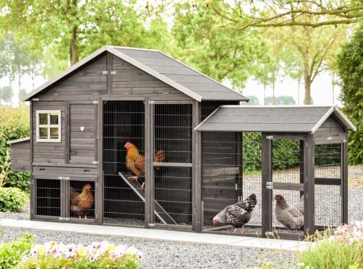 Kippenhok Holiday Large met ren en legnest 388x93x195cm