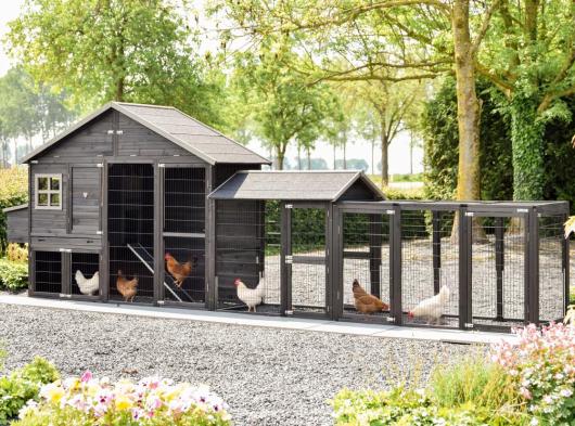 Kippenhok Holiday Large Duo Black met legnest en aanbouwrennen 564x100x195cm