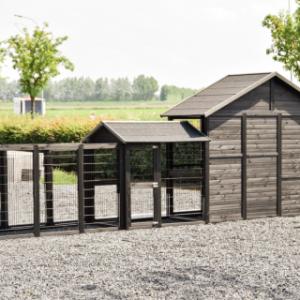 Het kippenhok Holiday Large heeft een volledig houten achterwand