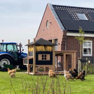 Optioneel met legnest te verkrijgen
