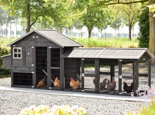 Kippenhok Holiday Medium Black met 2 rennen en legnest 400x88x151cm