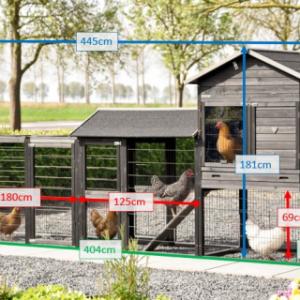 Verschillende afmetingen van het kippenhok Prestige Large