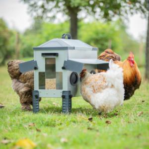 Uw kippen hebben veel plezier van deze Robust voerbak 24kg