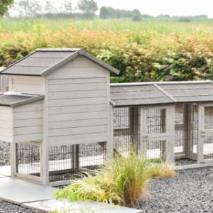 Een kijkje aan de achterkant van kippenhok Prestige Small Light-grey