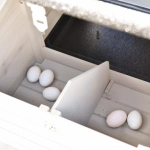 Het legnest is opgesplitst in 2 delen