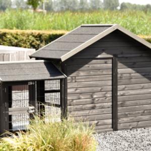 Een kijkje aan de achterkant van het kippenhok Holiday Small Black