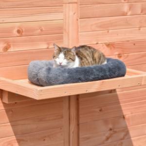 Met een bijpassend kussentje kan de poes nog lekkerder liggen op het plateau