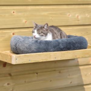 Met een bijpassend kussentje kan de poes nog lekkerder liggen op het plateau