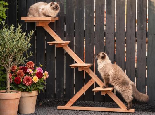 Kattenklimpaal muur Douglashout 180x150cm