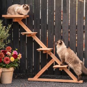 Kattenklimpaal in onbehandeld douglashout?