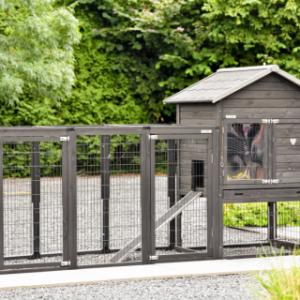 Het hok Prestige Medium Black biedt veel plaats voor uw konijnen