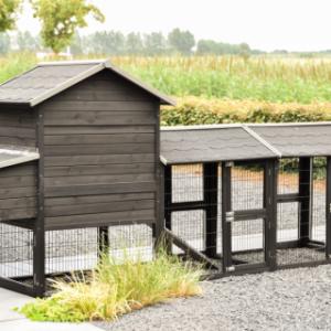Een kijkje aan de achterkant van kippenhok Prestige Medium Black