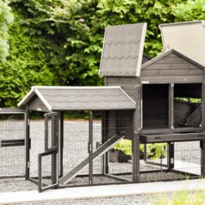 Kippenhok Prestige Medium heeft veel deuren en kleppen voor een makkelijke schoonmaak