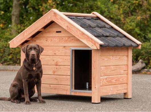 Hondenhok Reno Douglas 160x106x123cm