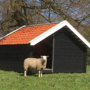 Schapenhok BIG