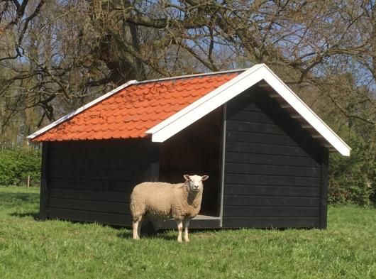 Schapenhok BIG