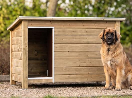 Groot hondenhok Loebas! Geïsoleerd, geïmpregneerd hout, scharnierend dak, betonplex vloer. Een groot, sterk en stevig hok voor een grote hond!