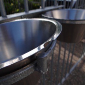 Het dubbele voederstel is voorzien van 2 RVS voerbakken