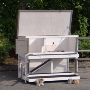 SHOWMODEL - konijnenhok Adrian wit/bruin - Anti-knaag 120x57x96cm
