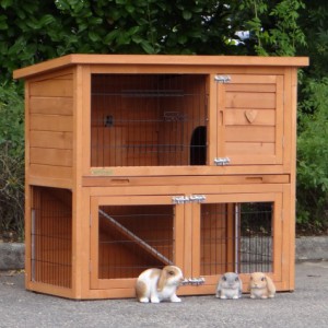 SHOWMODEL - konijnenhok Basic Anti knaag 104x52x92cm