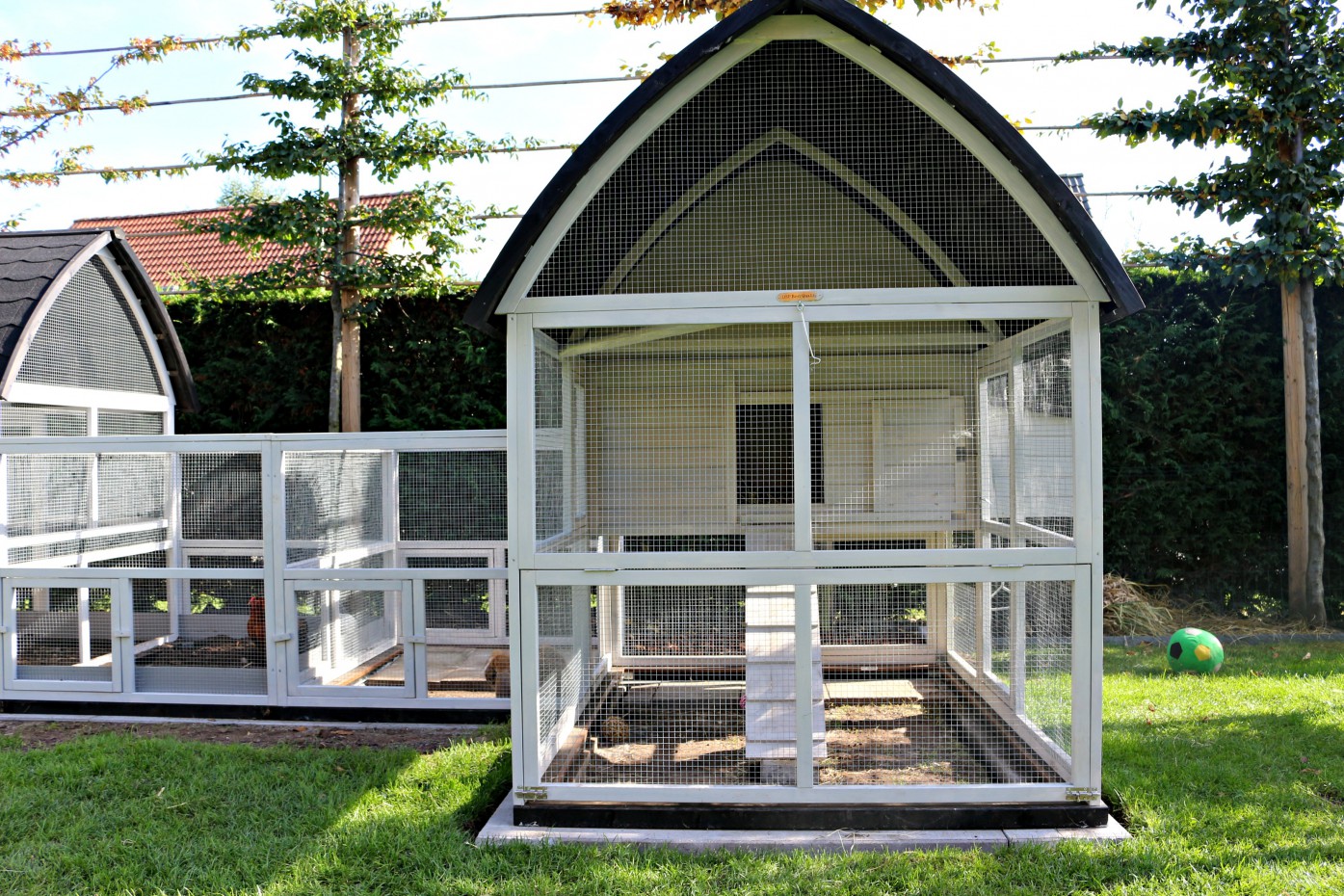 Kippenhok Kathedraal Luxe Xxl Met Aanbouwrennen En Funderingssets 564x250174x181cm