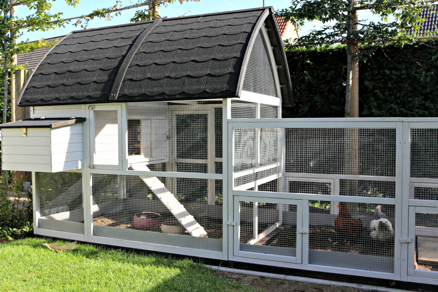 Kippenhok Kathedraal Luxe Xxl Met Aanbouwrennen En Funderingssets 564x250174x181cm