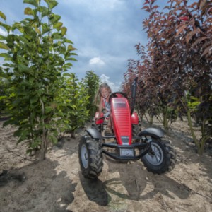 BERG skelter Case-IH BFR-3 met 3 versnellingen