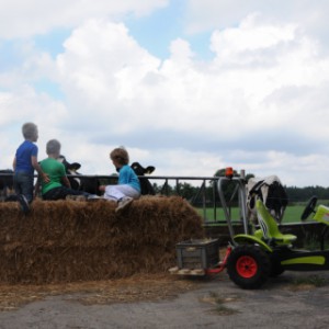 BERG skelter Claas BFR-3 met 3 versnellingen