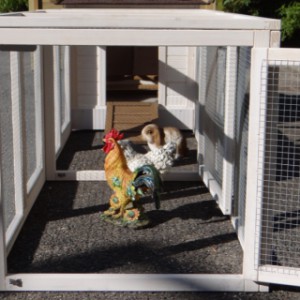 Kippenhok Ambiance Small met dubbele ren