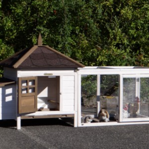 Kippenhok Ambiance Small met ren